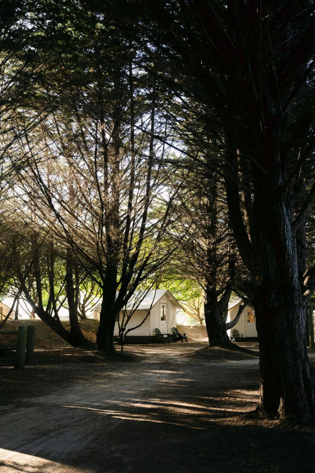 فندق Costanoa بيسكاديرو المظهر الخارجي الصورة